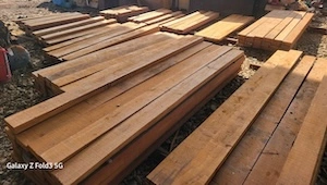 Neatly arranged stacks of freshly sawn timber planks drying under sunlight at a lumber yard
