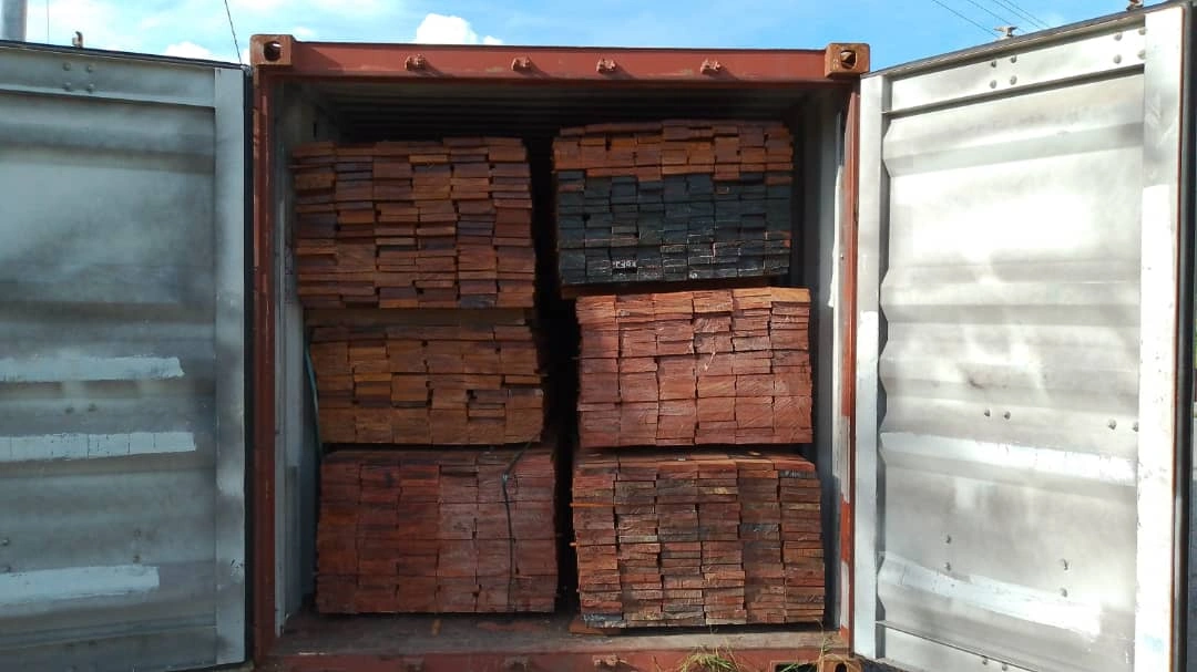 Stacks of sawn timber tightly packed inside an open shipping container under clear blue sky