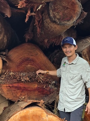 Man standing next to a large stack of freshly cut logs, pointing at a reddish-brown cross-section of a timber trunk