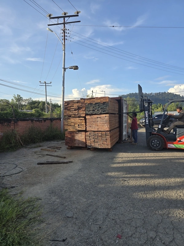 Forklift unloading stacked timber from a shipping container with workers assisting on a sunny day